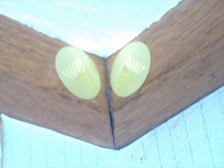 CA8DROC7-thumbnail2.jpg