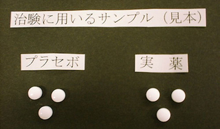 sample.jpg